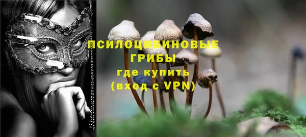 ПСИЛОЦИБИНОВЫЕ ГРИБЫ Дмитриев