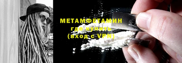 ПСИЛОЦИБИНОВЫЕ ГРИБЫ Дмитриев