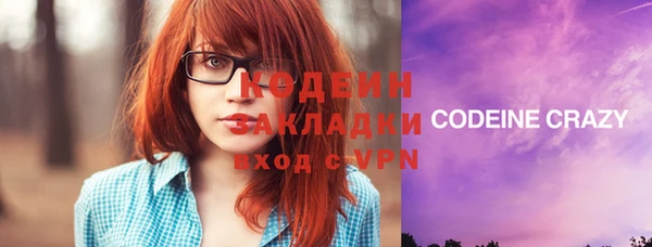 кокс Гусев