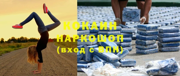 ПСИЛОЦИБИНОВЫЕ ГРИБЫ Дмитриев