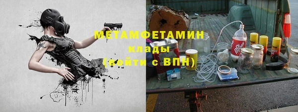 ПСИЛОЦИБИНОВЫЕ ГРИБЫ Дмитриев
