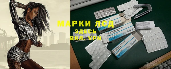 ПСИЛОЦИБИНОВЫЕ ГРИБЫ Дмитриев